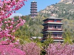 -石岛赤山风景区