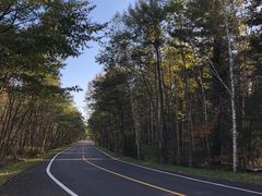 -五营红松林海景区