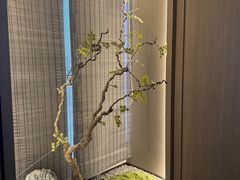 -臻品足道(佛祖岭店)