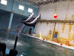 -北戴河圣蓝海洋公园