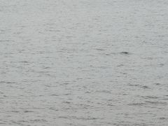 -西秀海滩公园