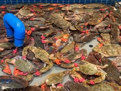 -一方渔歌蒸汽海鲜自助(文化路万达广场店)