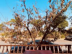 -呼吸森林·生态农庄农家乐私房菜