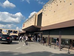 -新罗免税店(首尔总店)