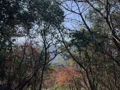 -杭州灵山景区