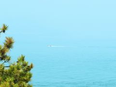 -小麦岛公园