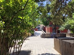 -大觉寺-停车场