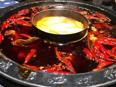 -蜀大侠火锅(建设路第五大道店)