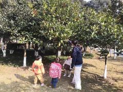 -惠洛克国际儿童之家(绿博园中心)