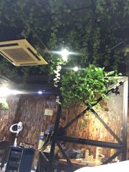 大厅-藤野造型·专业烫染店