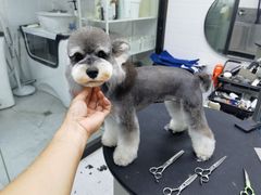 -北京观赏动物医院·24小时大型综合·猫专科·异宠专科