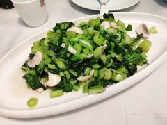 -乾园(恒隆广场店)