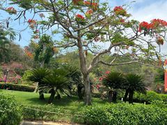 -三亚南山文化旅游区