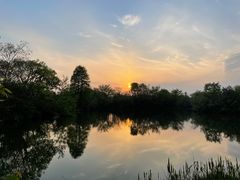 -新荣记(西溪湿地店)