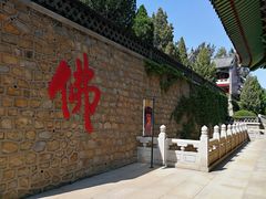 -龙口南山旅游景区