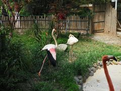 -昆明动物园