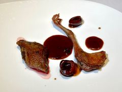 乳鸽-蝶舍·MAISON PAPILLON