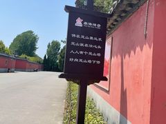-南海禅寺