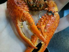 -骄傲de小龙虾 · 全羊馆(新北万达店)