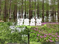 -白鹭湾湿地公园