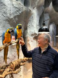 -Zoolung Zoolung动物主题公园(海信广场店)