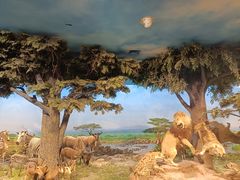 -国家自然博物馆