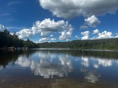 -五营红松林海景区