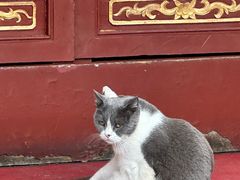 -长春观
