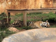 -昆明动物园