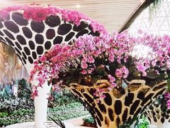 -花之城