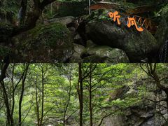 -宁波五龙潭景区