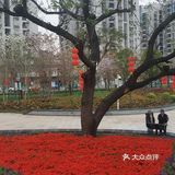 下沙公园