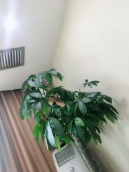 -轻妆Feel·半永久纹眉眼线