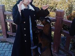 -大姆山草场