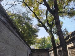 -天一阁博物院