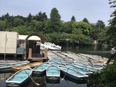 -井之头恩赐公园