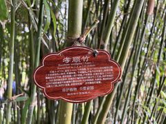 -个园