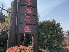 -东湖落雁景区