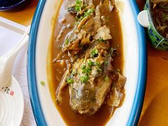 -天正河鲀·河豚亭(大连店)