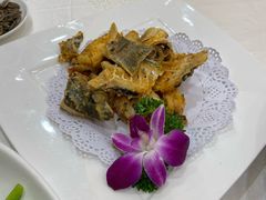 -寻味顺德·南记酒家·传统顺德菜·鱼生(广源路店)