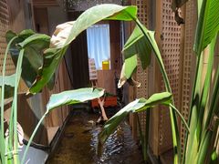 -邈墨茶馆(凤起路店)