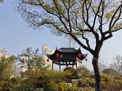 -和平公园