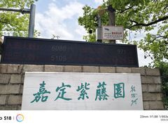-嘉定紫藤园