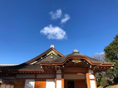 -名古屋城