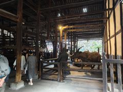 -燊海井