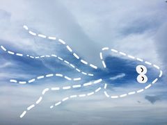 -江西阳明山国家森林公园