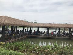 -枫香湖儿童公园