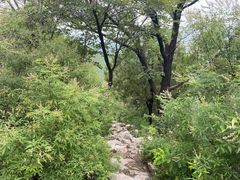 -佛慧山
