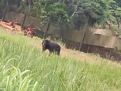 -海南热带野生动植物园