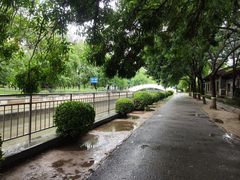 -元大都城垣遗址公园